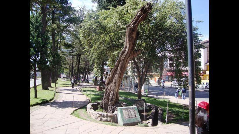 Brizio Guest House Cuzco Exterior foto